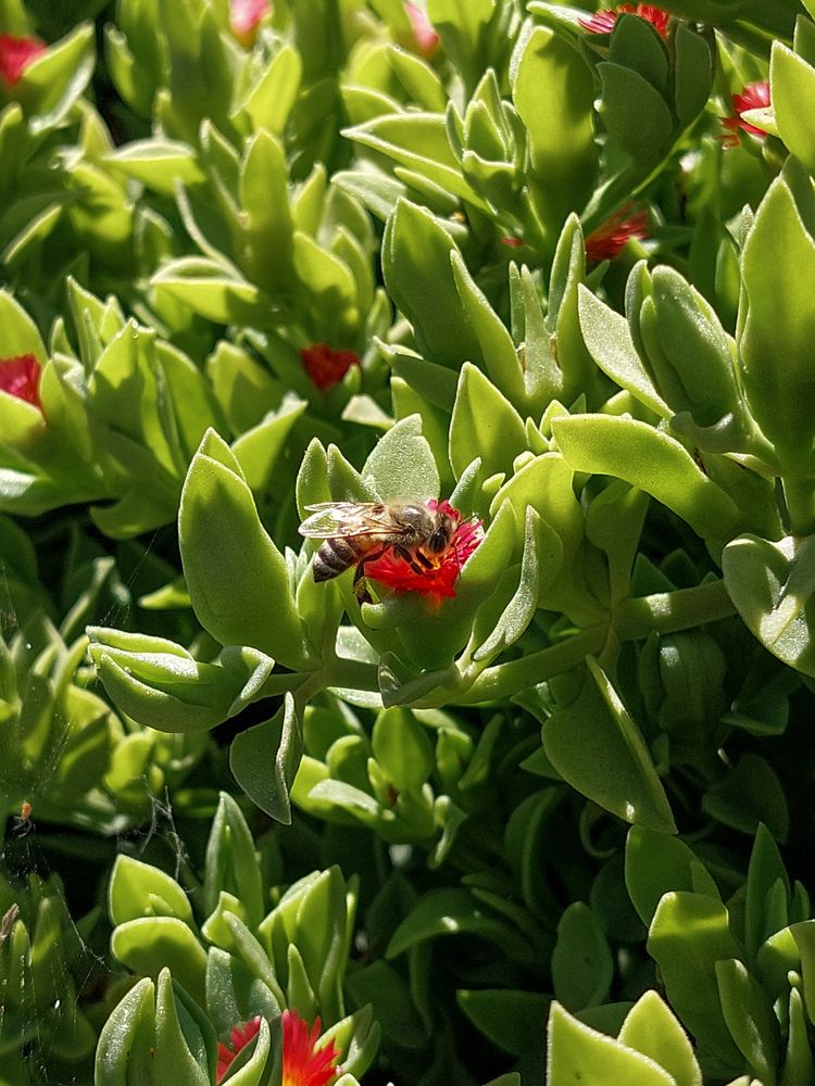 Photograph by Nour Kamal