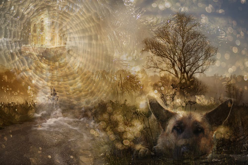 Photograph by Светлана Карнаух