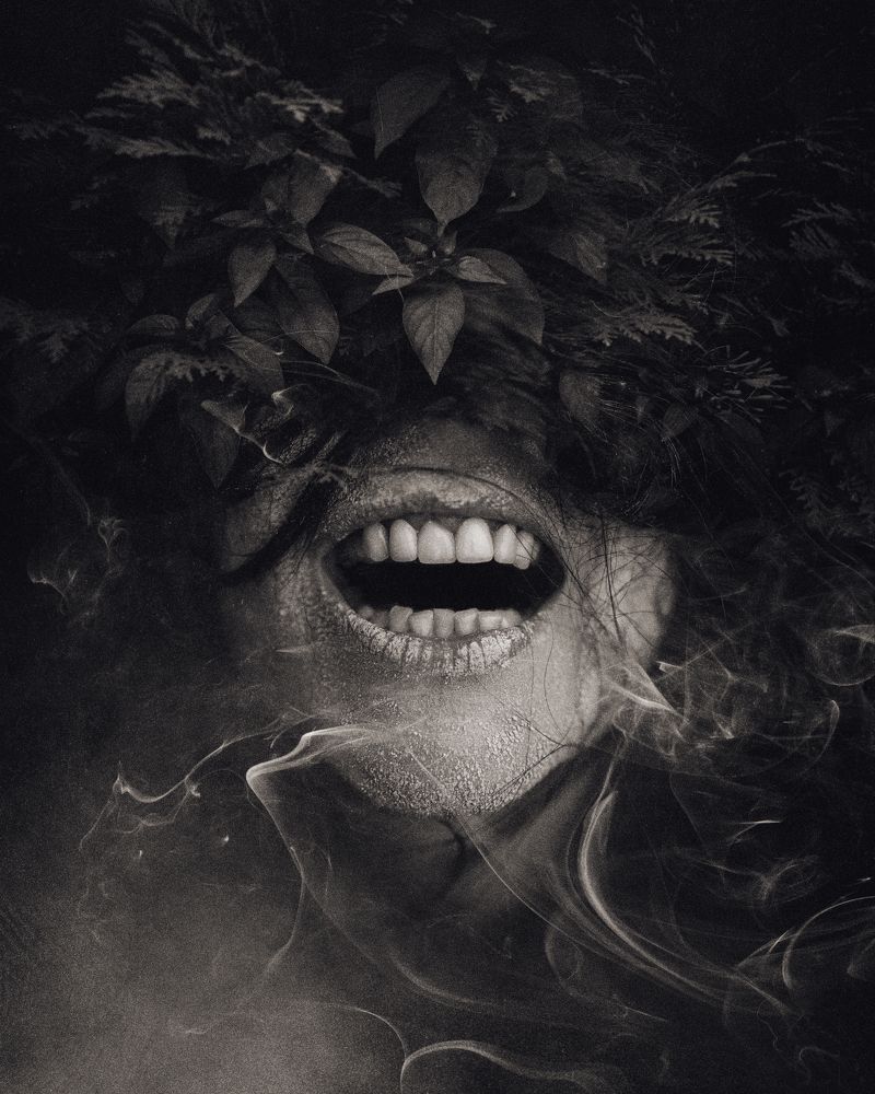 Photograph by Moga Alexandru