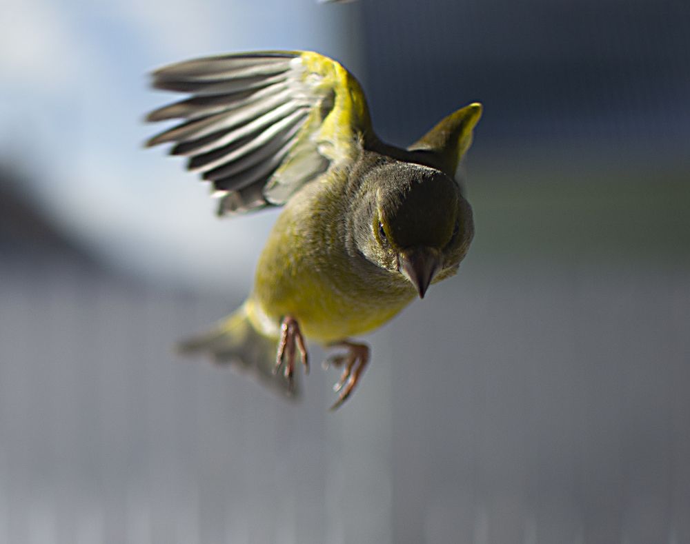 Photograph by Наталья Трусова