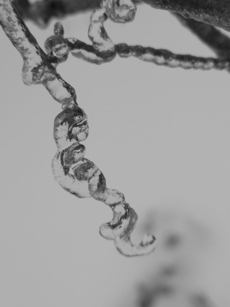 Photograph by Елена Коробченко