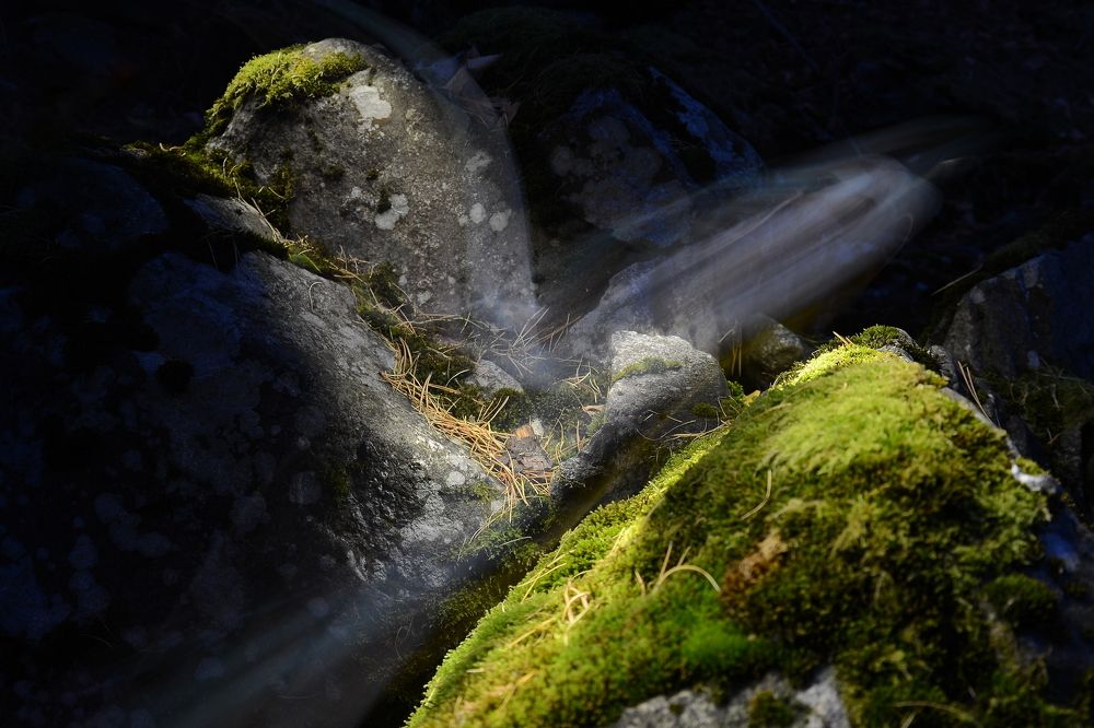 Photograph by Андрей Городецкий