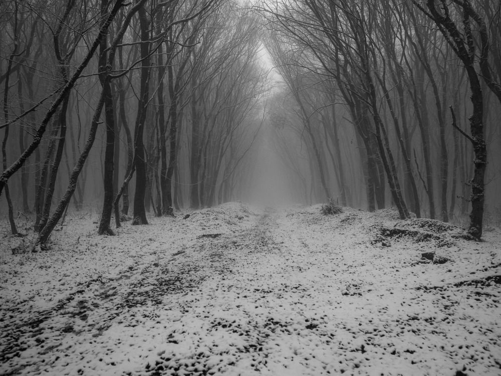 Photograph by Виталий Маслов