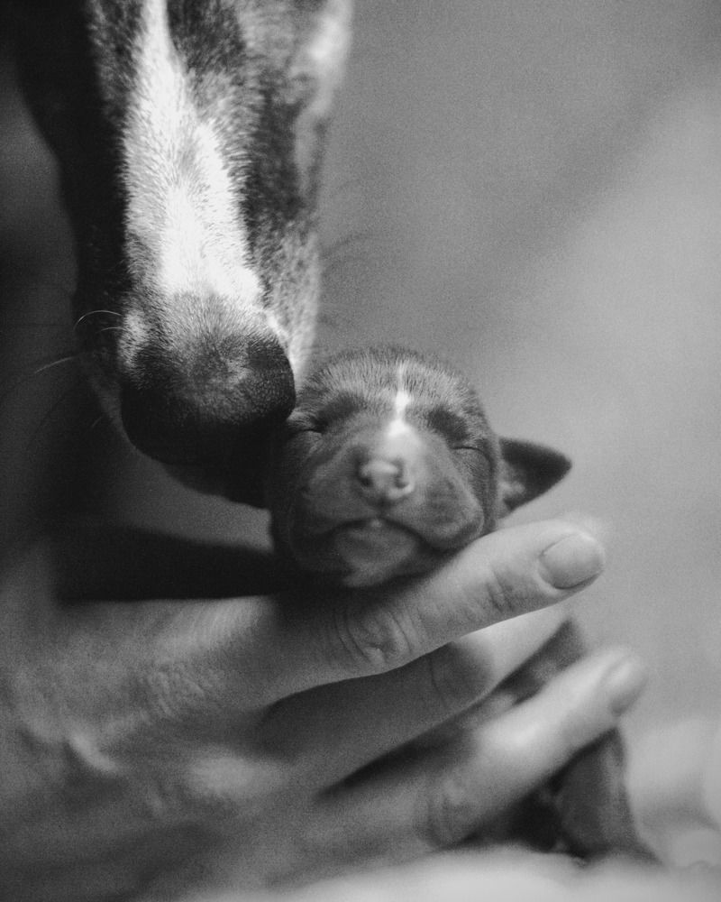 Photograph by Татьяна Федченко