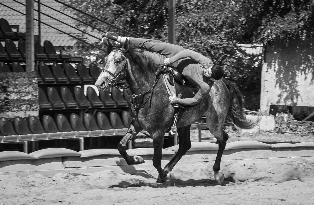 Фотография автора Оксана Белозерская