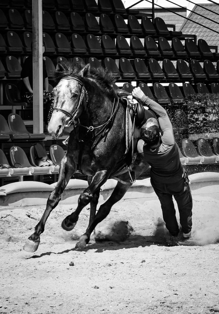 Фотография автора Оксана Белозерская