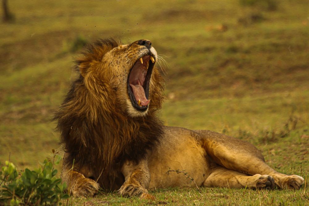 Photograph by ayan Chakraborty