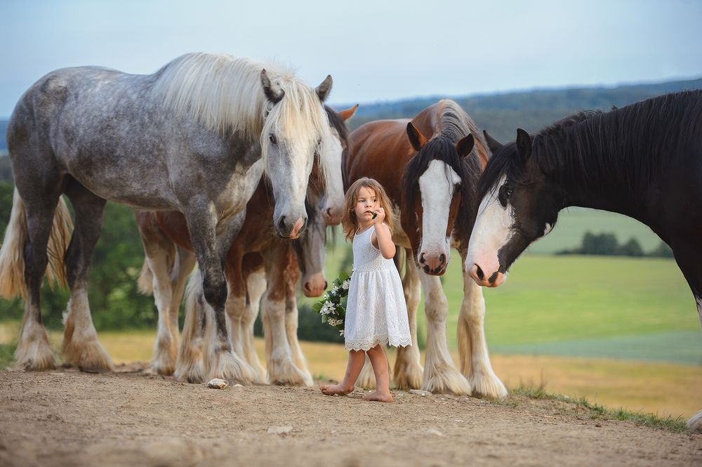 Photograph by Katya Druz