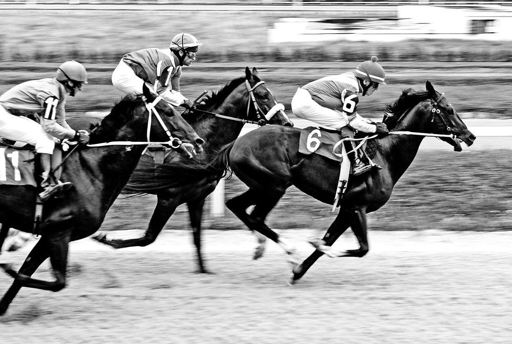 Photograph by Сергей Сережников