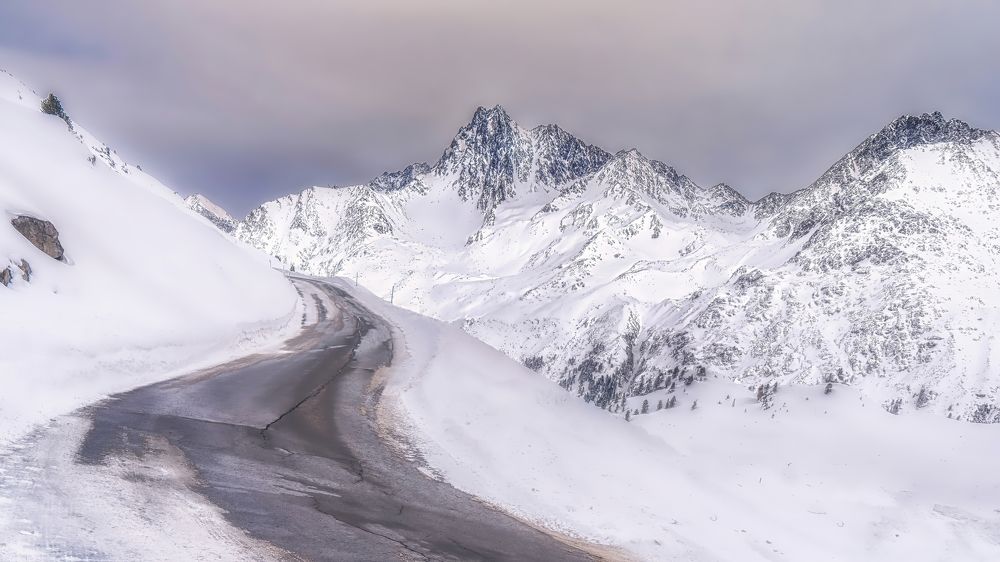 Фотография автора ROMAN Wieckowski