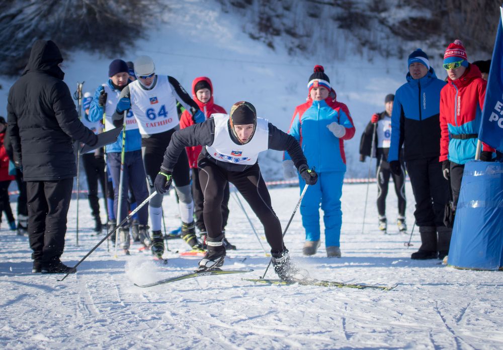 Фотография автора Александр Дюльгер