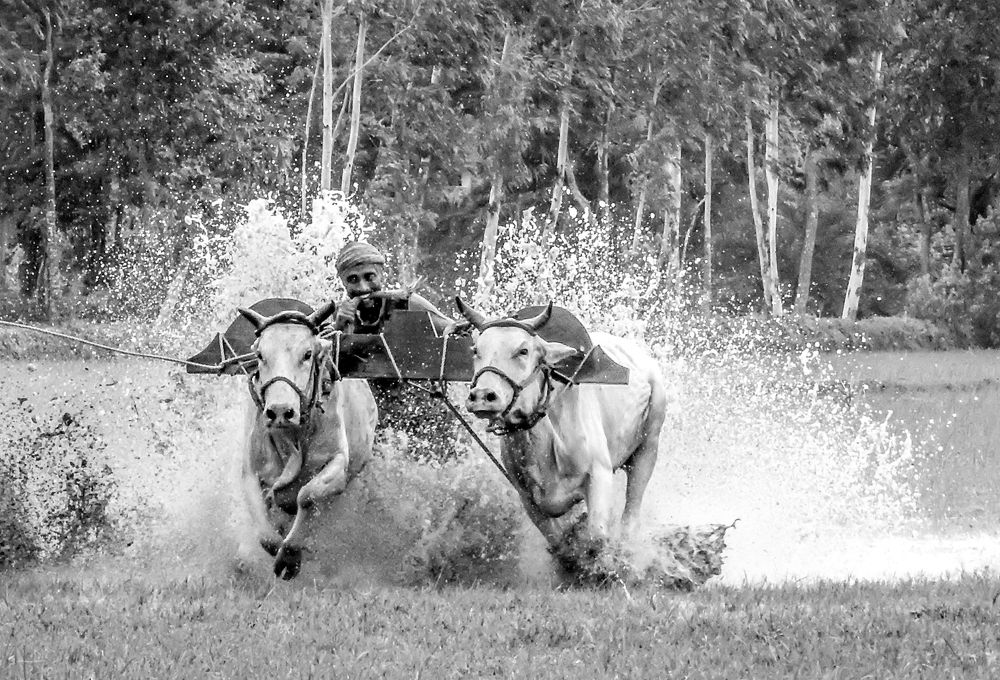 Photograph by Bidyut Dutta