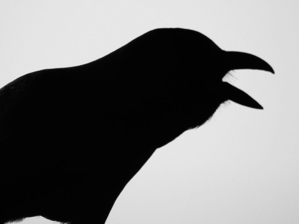 Photograph by Bidyut Dutta