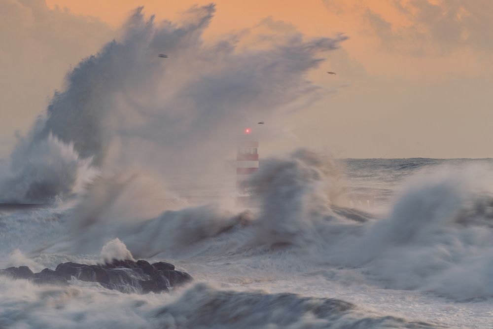 Photograph by Bruno Ribeiro