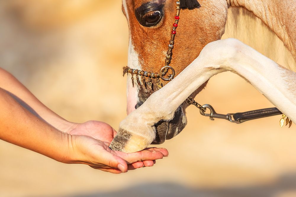 Photograph by Короткевич Валерия