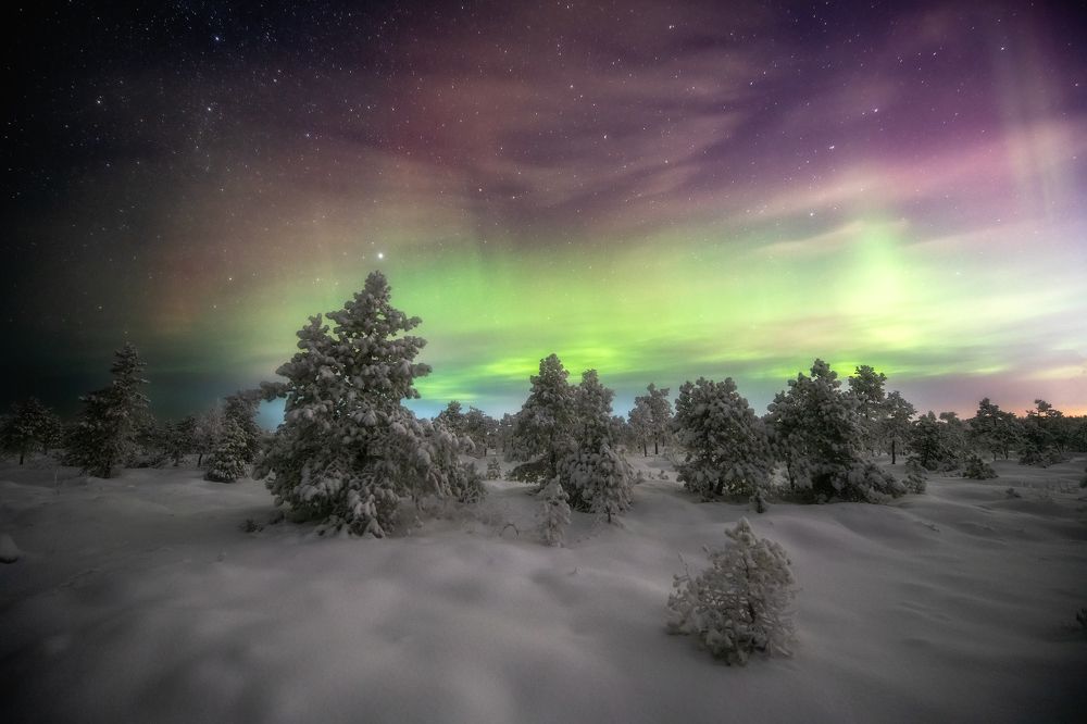 Photograph by Михаил Карпов