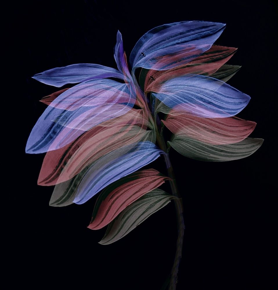 Photograph by Гуляева Светлана