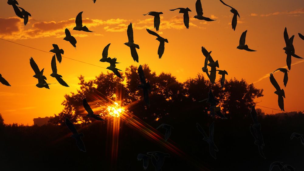 Photograph by Михаил Трусов