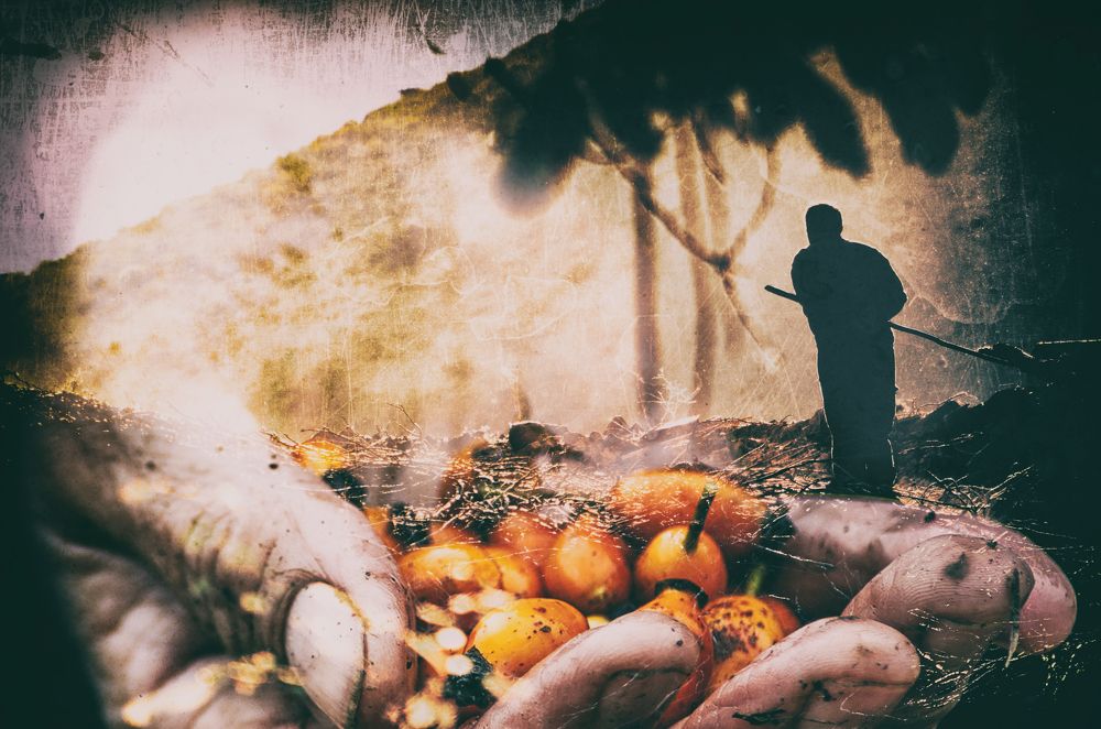 Photograph by DAMOUN POURNEMATI