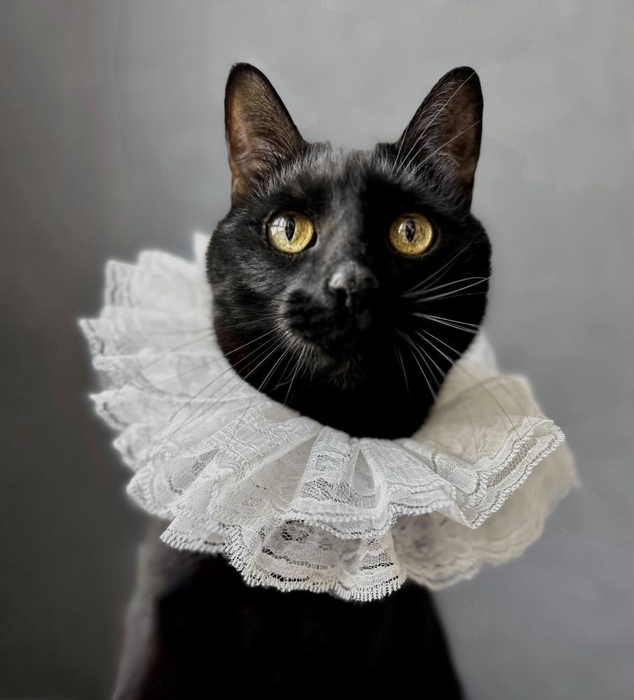 Photograph by Гуляева Светлана