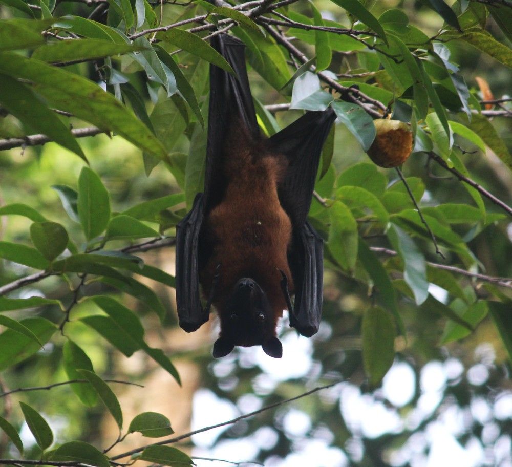 Photograph by Chandrahas Kurane