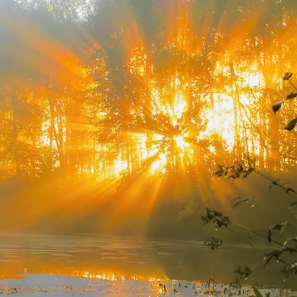 Photograph by Юрий Спасенников