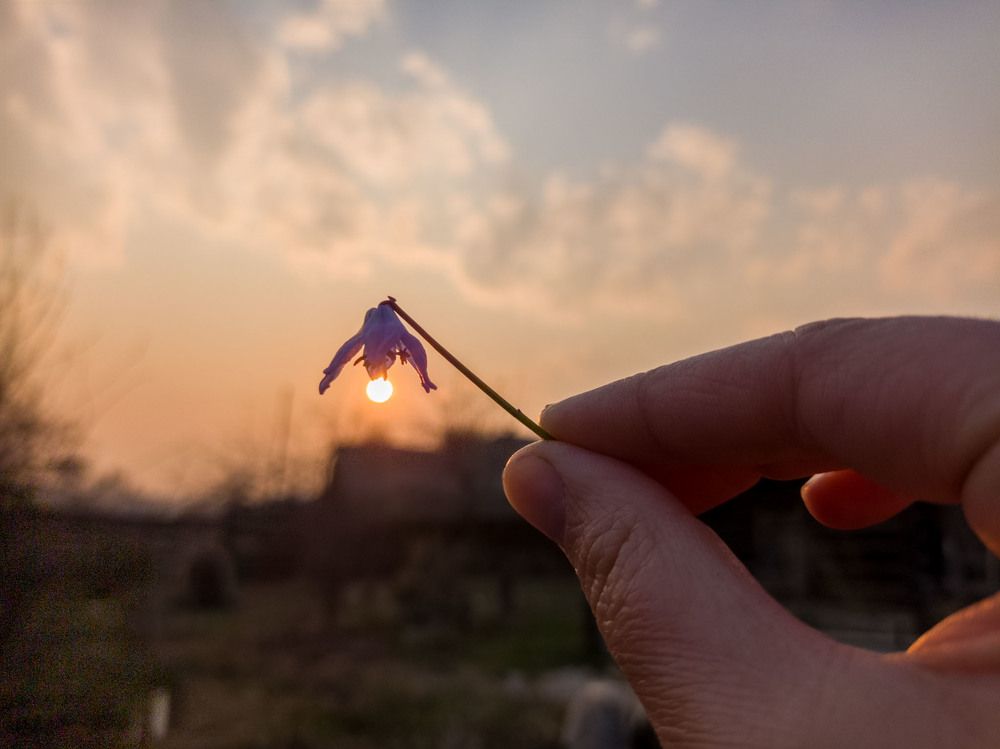 Photograph by Ирина Немкина