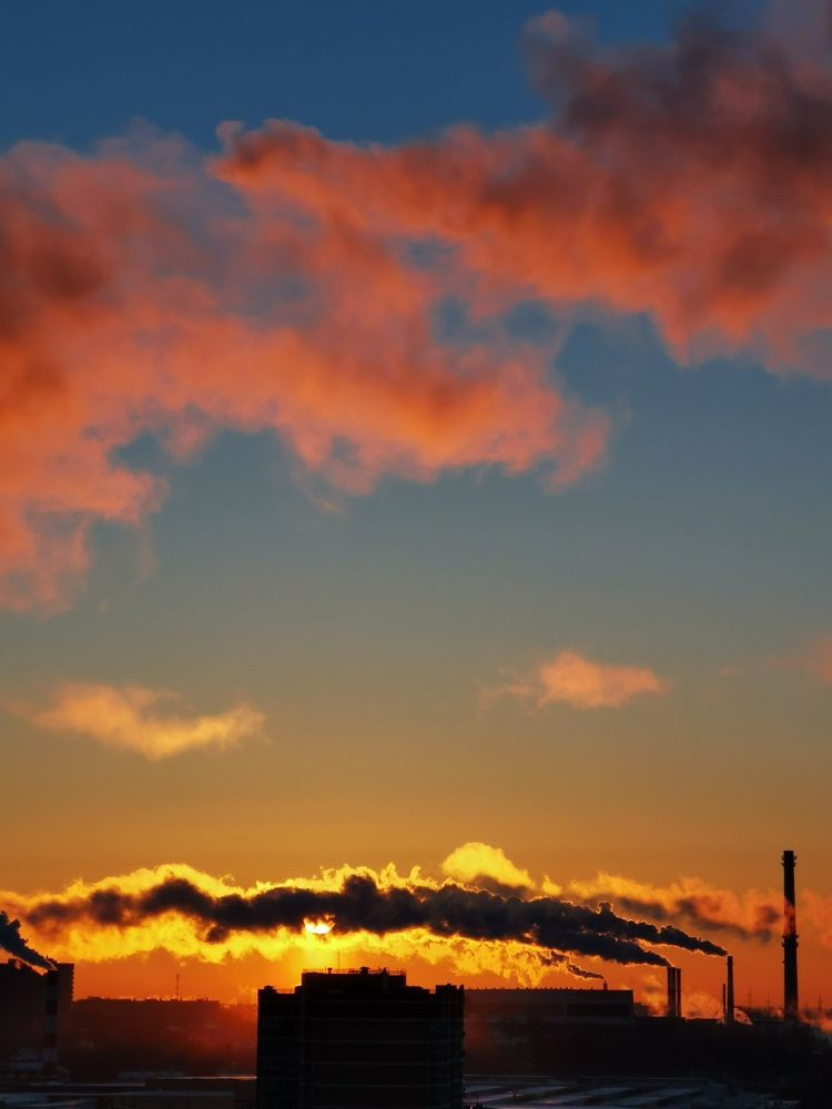 Яростный рассвет