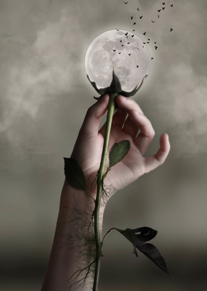 Photograph by Panagiotis Batatolis