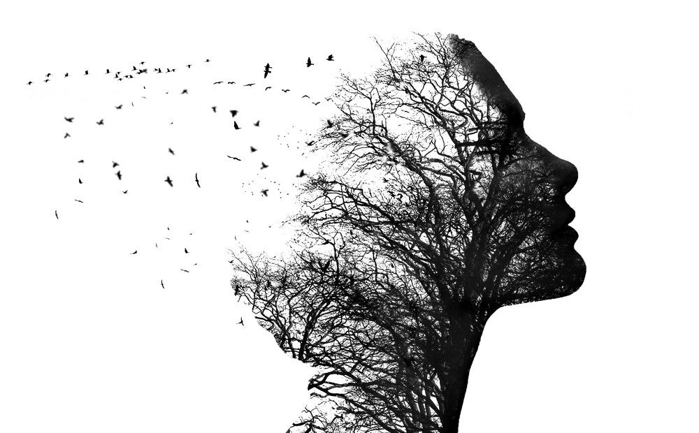 Photograph by Panagiotis Batatolis