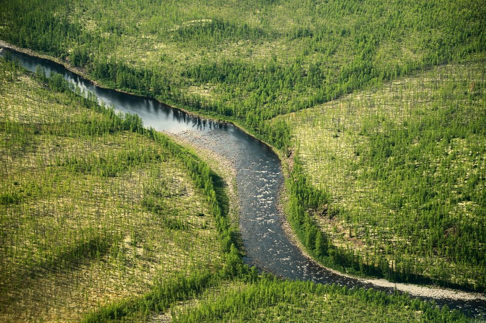 Photograph by Лада Денисова