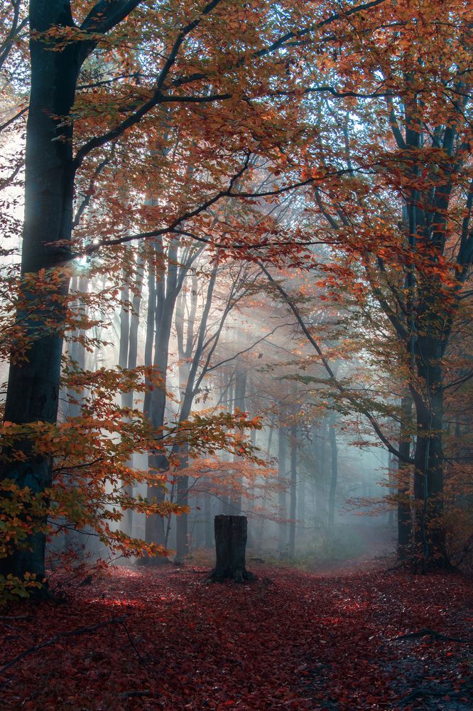 Photograph by Marcin Nalepka