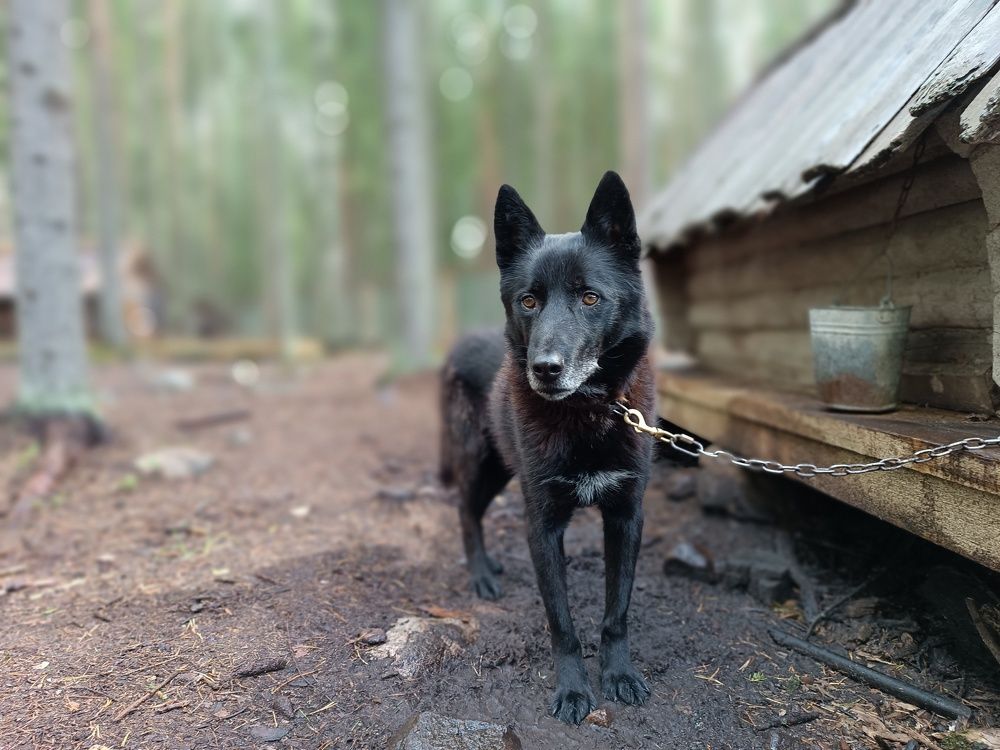 Photo #9968693