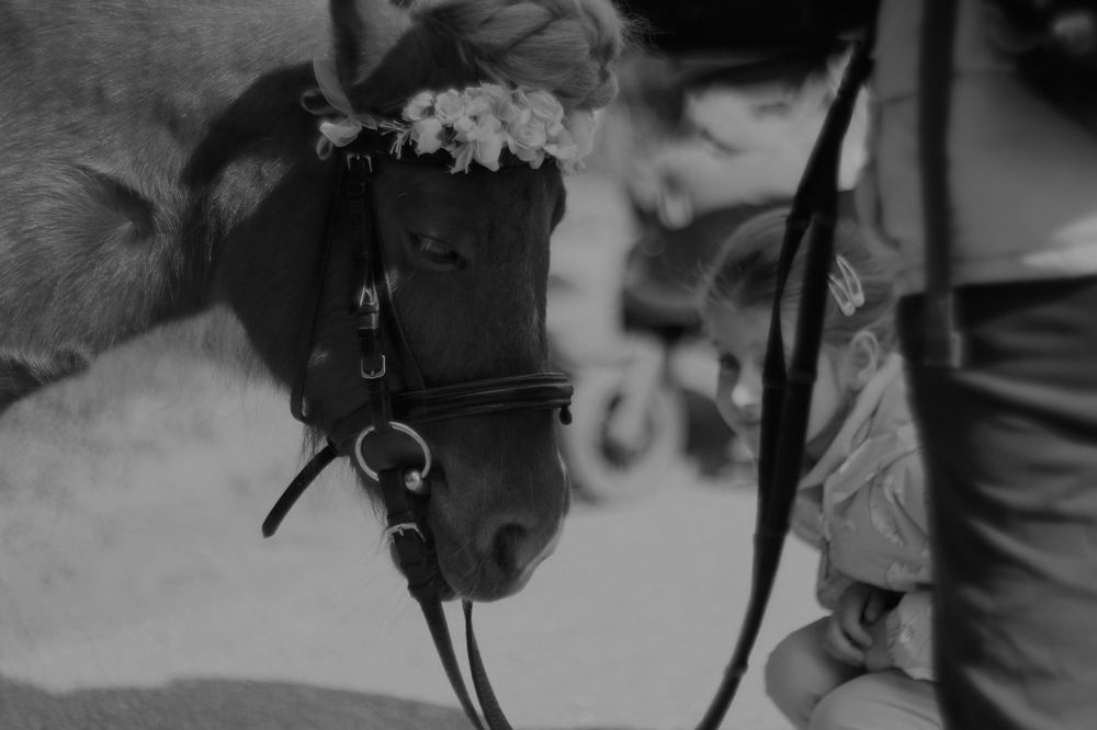 Photograph by Yana Egorova