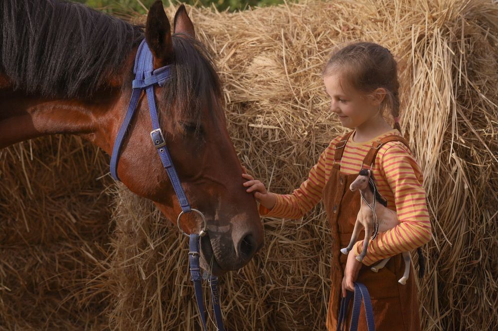 Photograph by Алла Беспалова