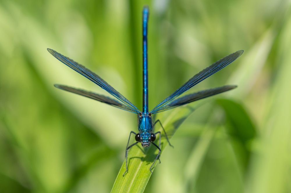 Photograph by Евгений