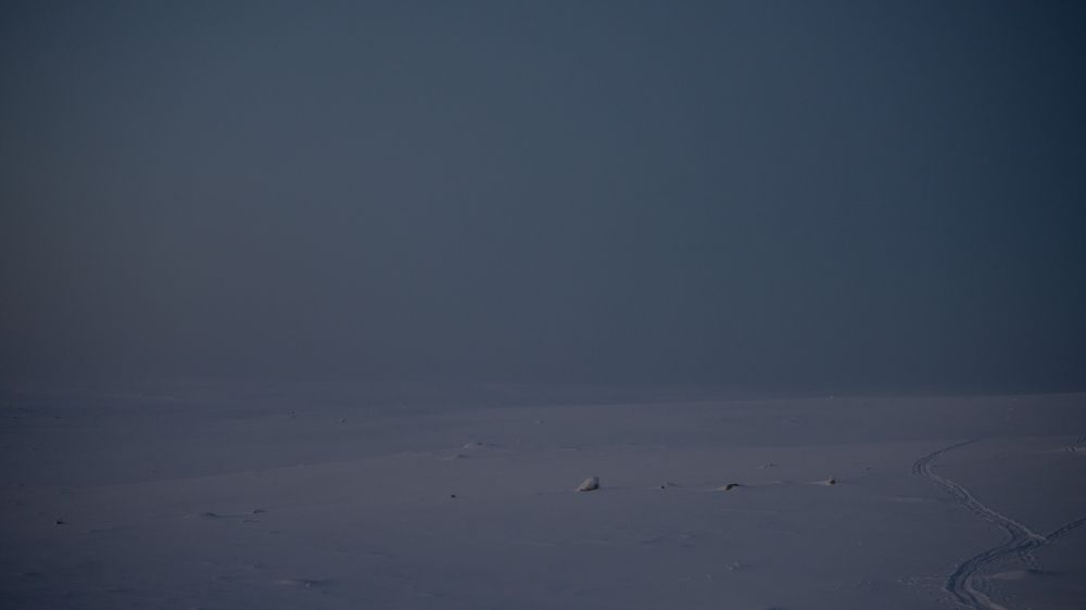 Photograph by Марлен Маан