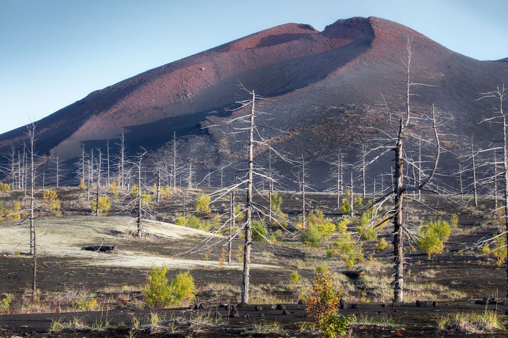 Photograph by Елена Станькова