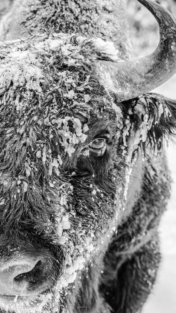 Photograph by Светлана Солдатченкова