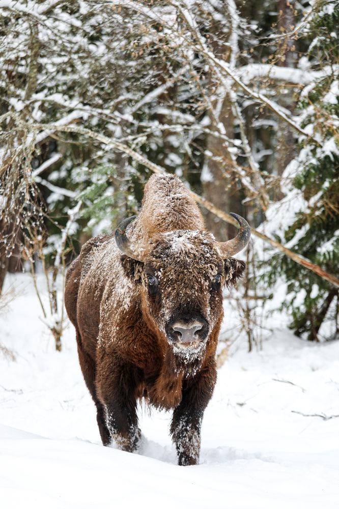 Photograph by Светлана Солдатченкова