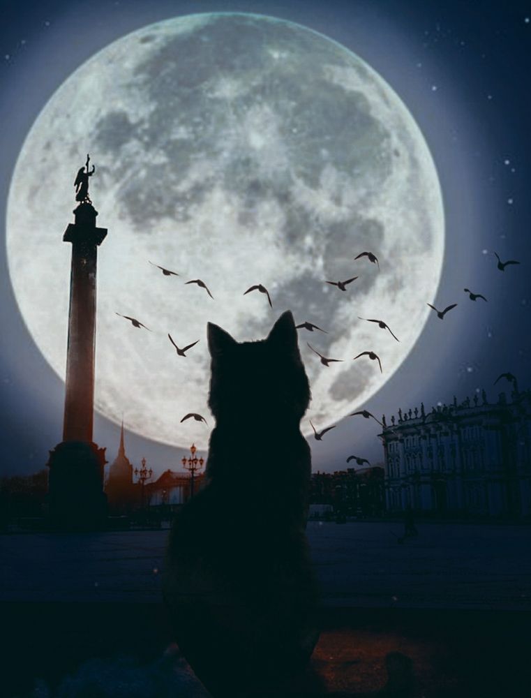 Photograph by Елена Лучшева