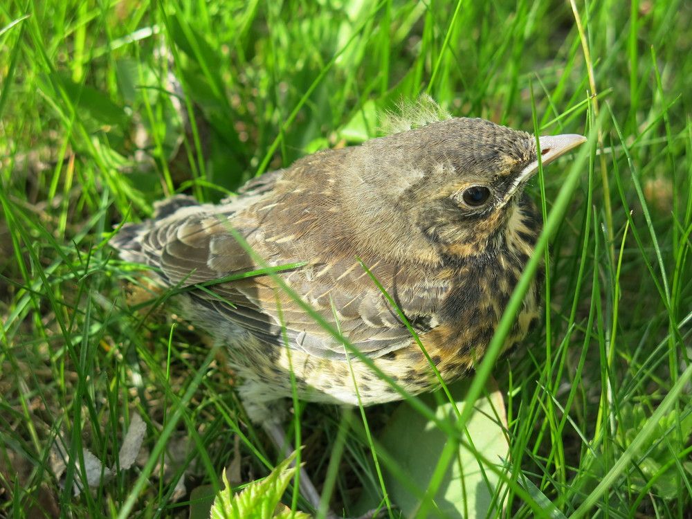 Photograph by ЭЛЬМИРА  ИСМАИЛОВА