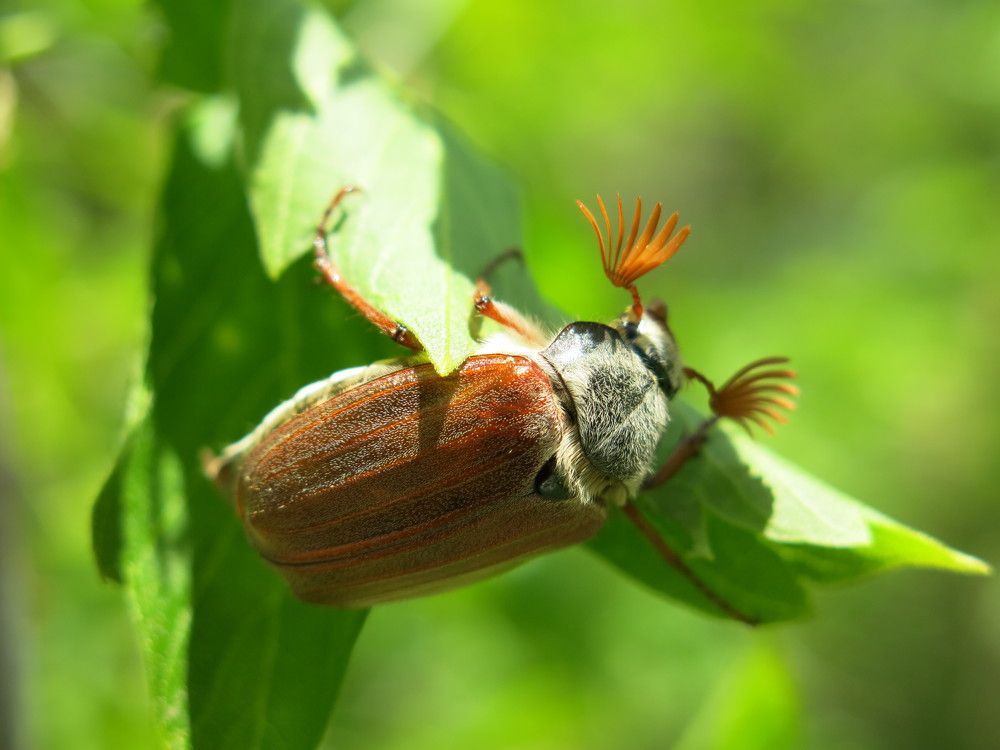 Photograph by ЭЛЬМИРА  ИСМАИЛОВА
