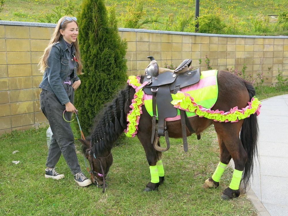 Photograph by ЭЛЬМИРА  ИСМАИЛОВА