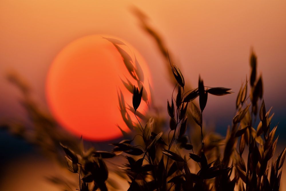 Photograph by Алексей Шевченко