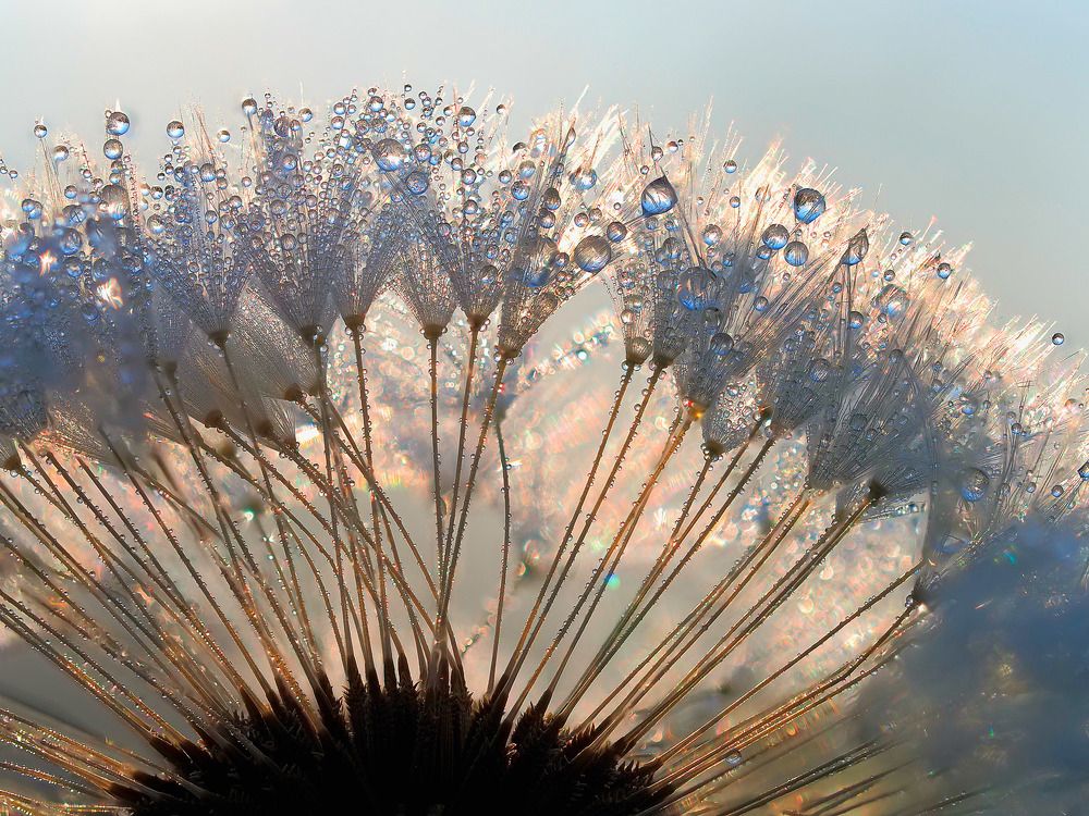 Photograph by Лукашук Евгений