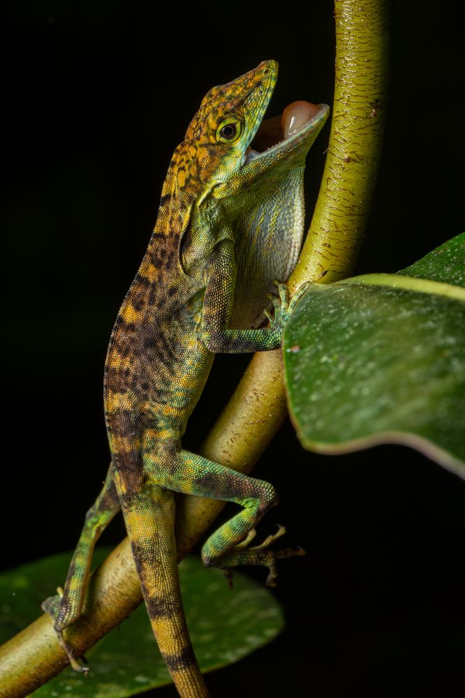 Photograph by Mateo García Mejía