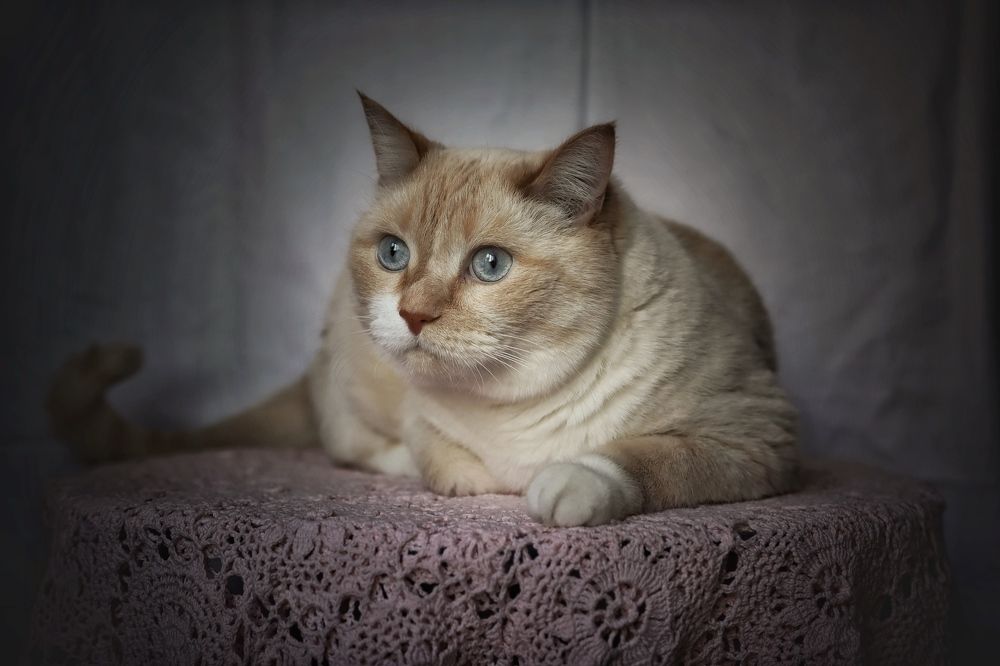 Photograph by Кира Бахвалова