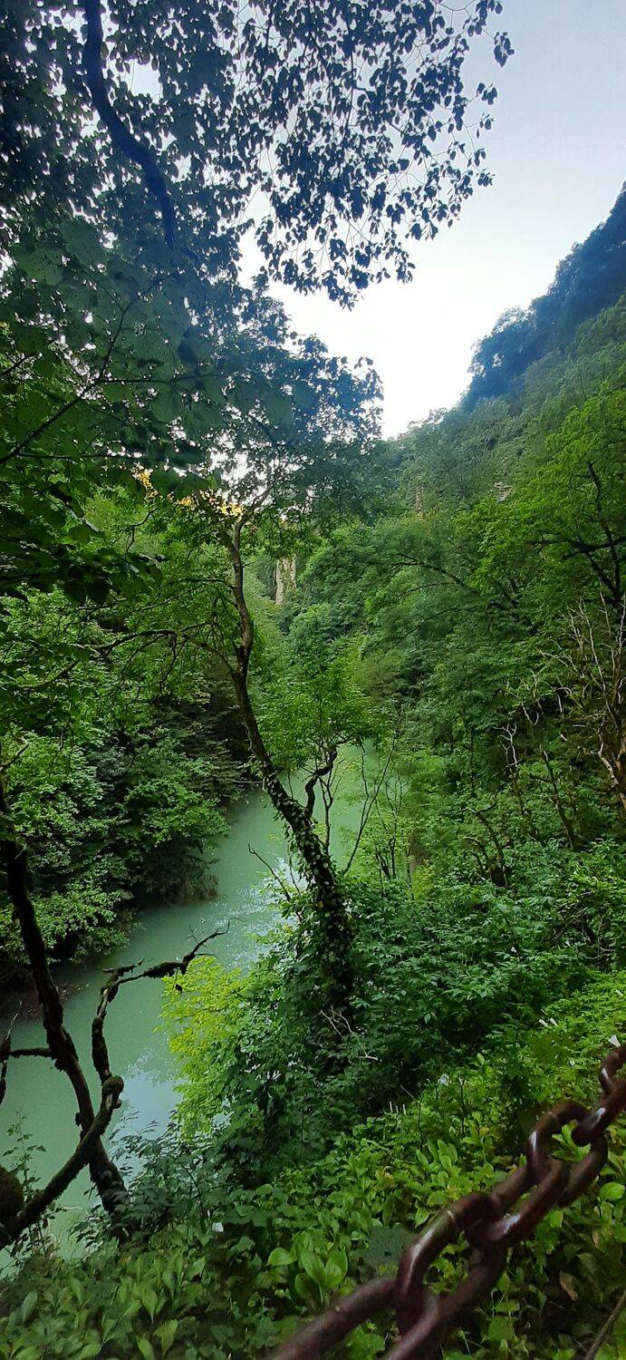 Фотография #9969185