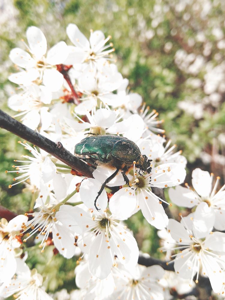 Photograph by Анна Любимова